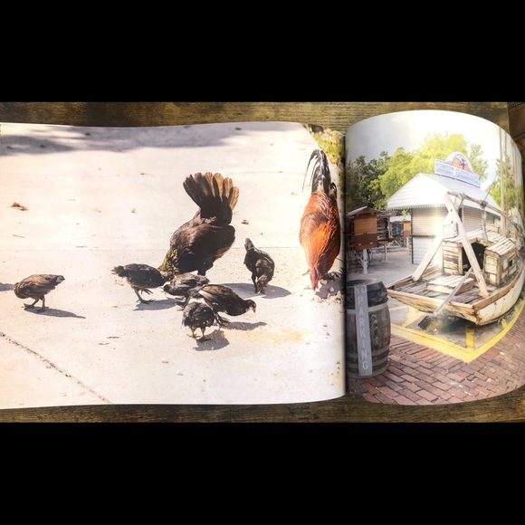 Cocks of Key West Coffee Table Book - Picture 9 of 16